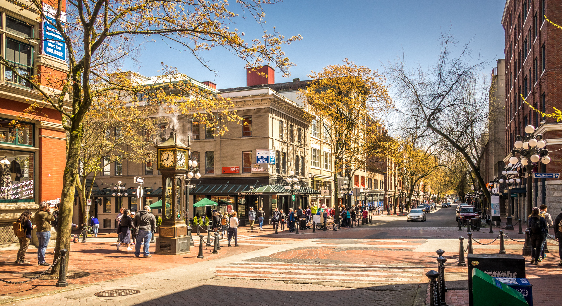 Maple Tree Square
