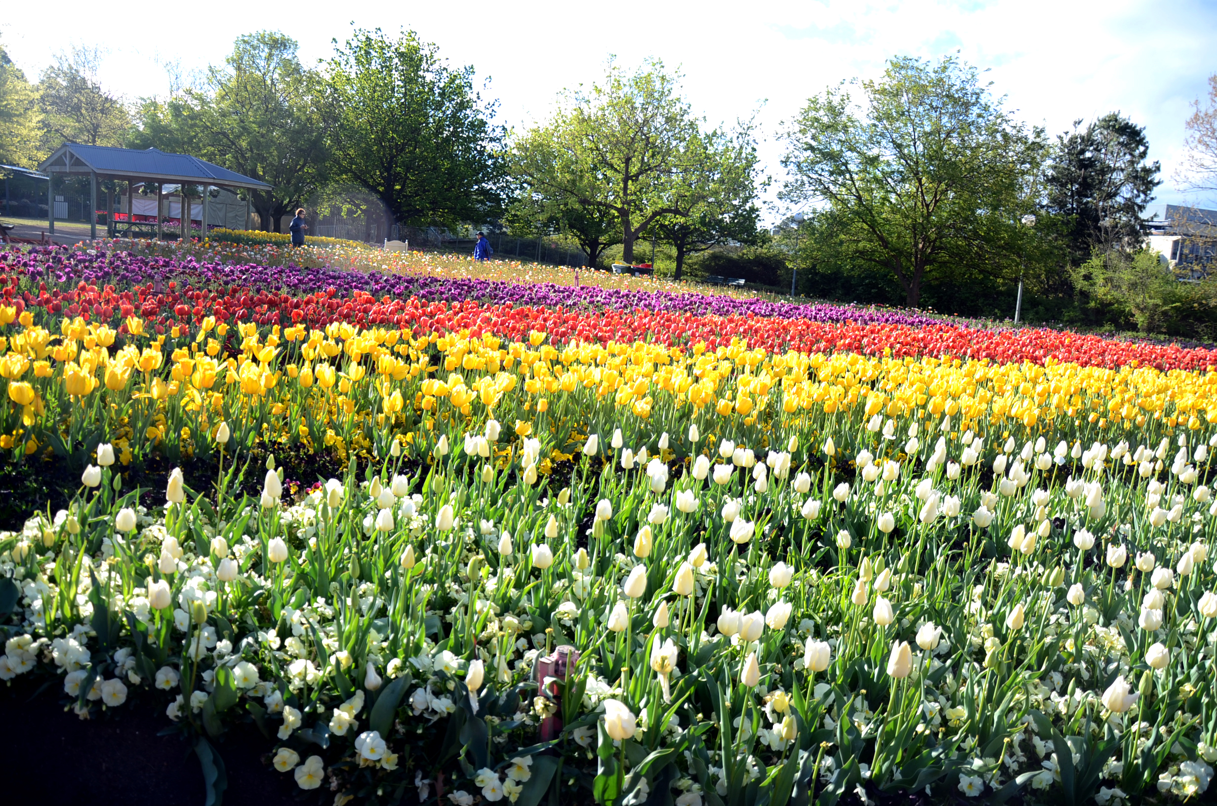 Floriade (Canberra)