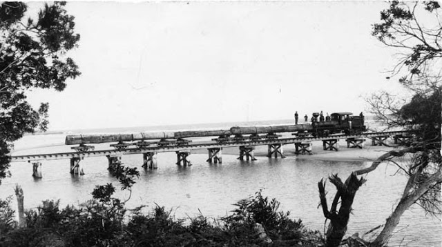 British Australian Tramway, Coffs Harbour