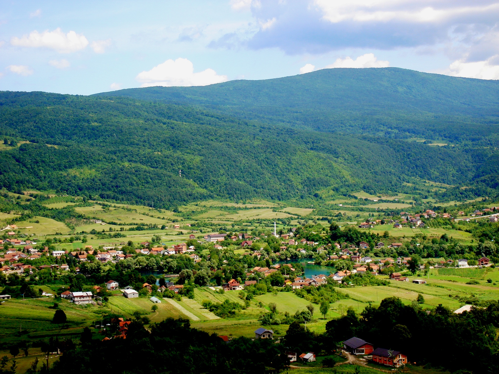 Ripač