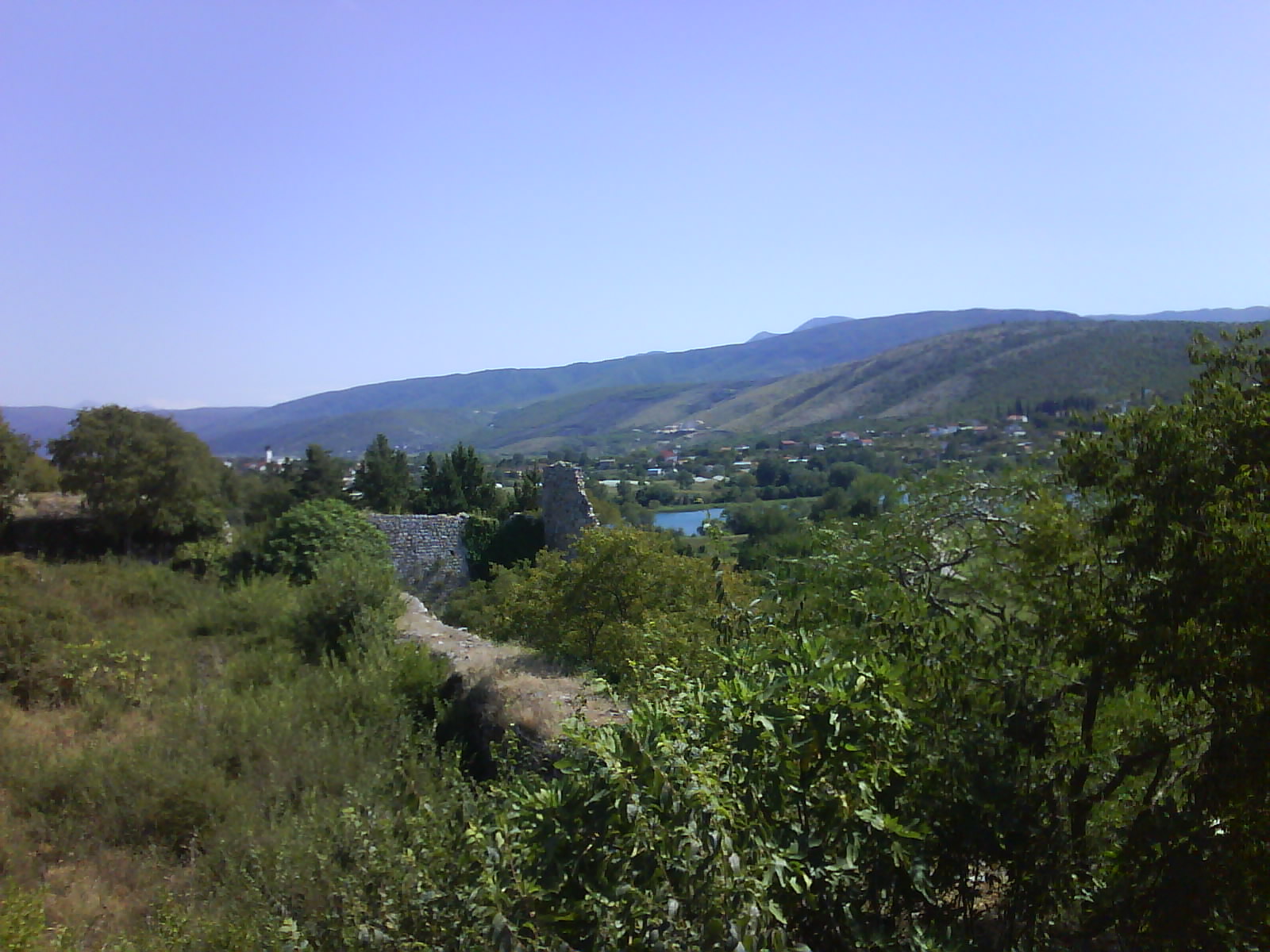 Drijeva