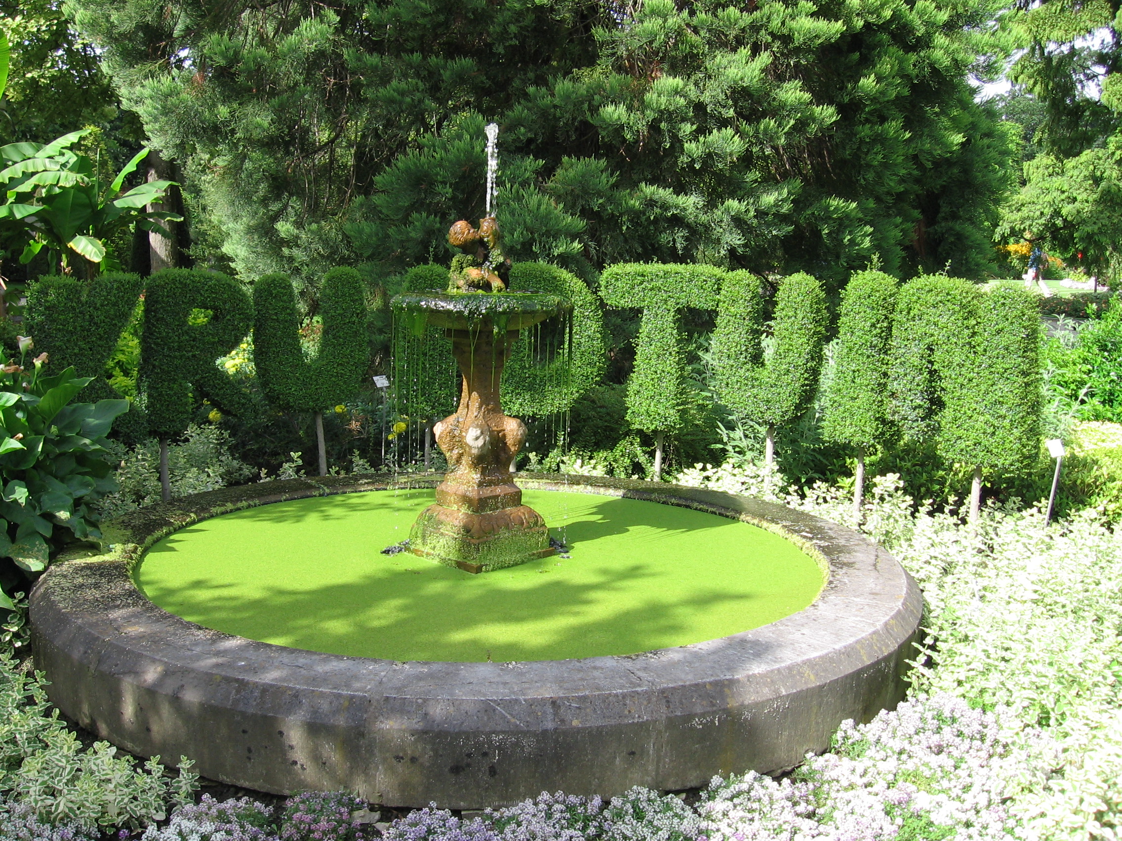 Hortus Botanicus Lovaniensis