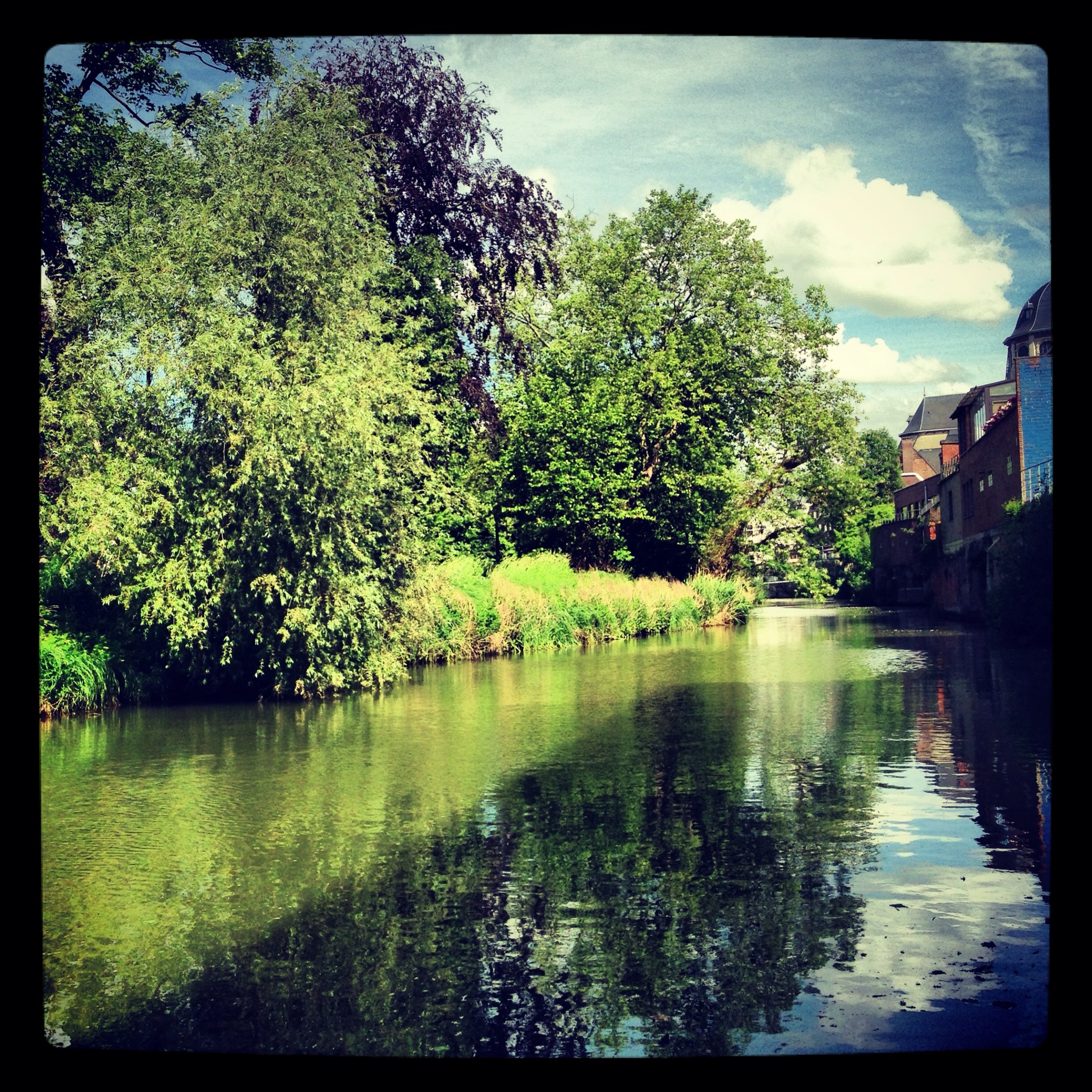 Botanical Garden of Mechelen