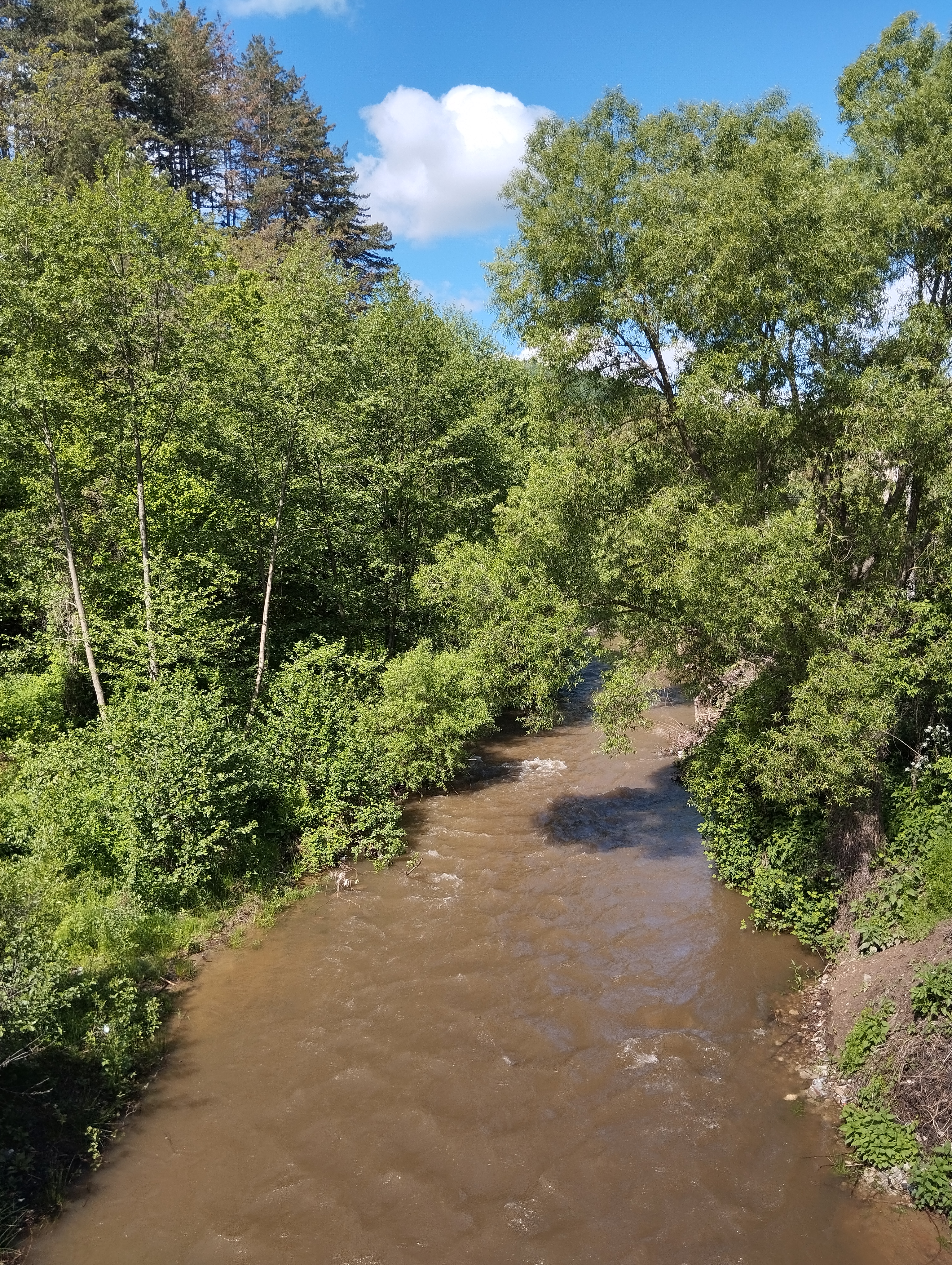 Lebnitsa (river)