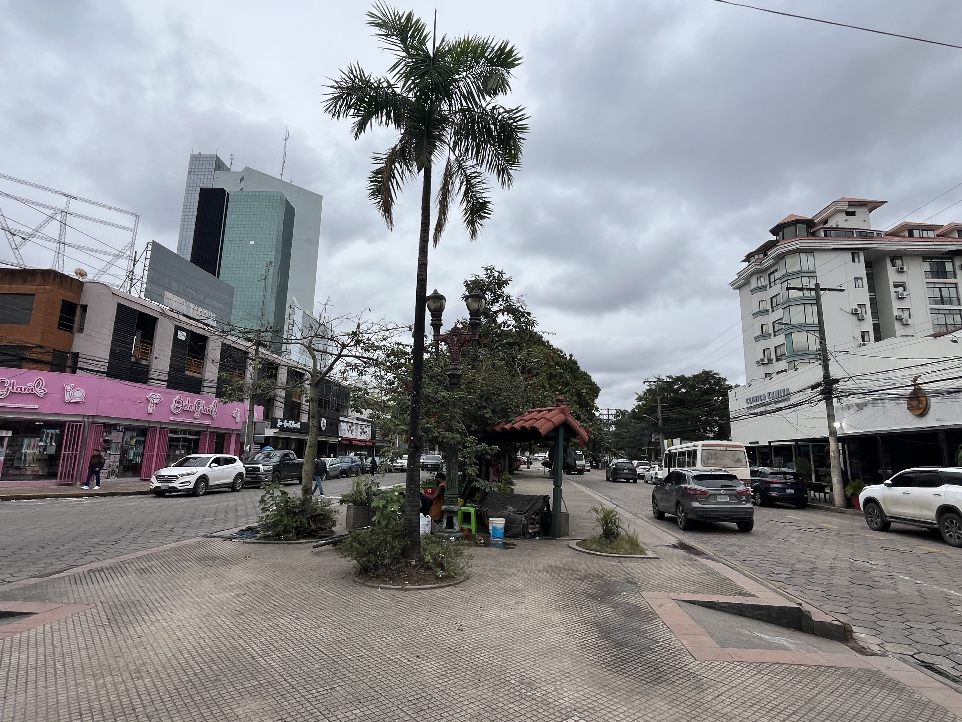 Avenida Monseñor Rivero