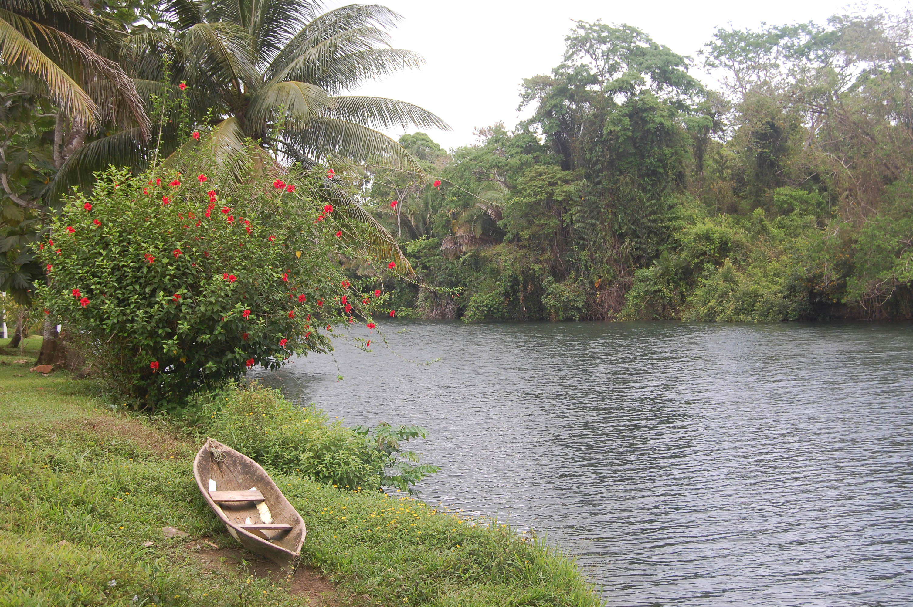 Moho River