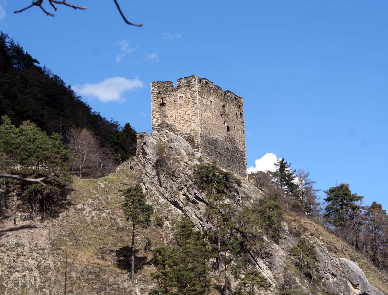 Neuburg Castle (Switzerland)