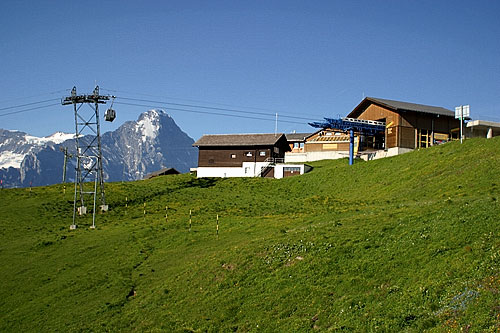 First (Grindelwald)