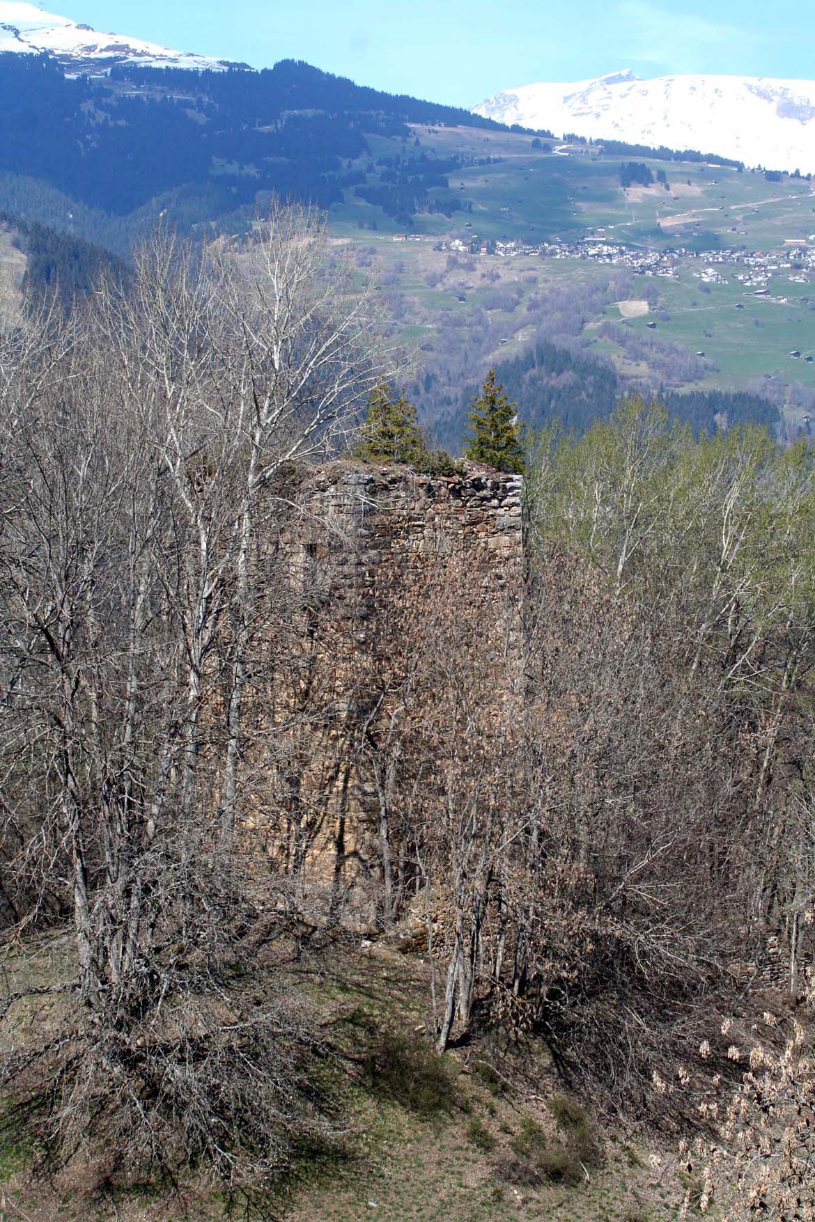 Castelberg Castle