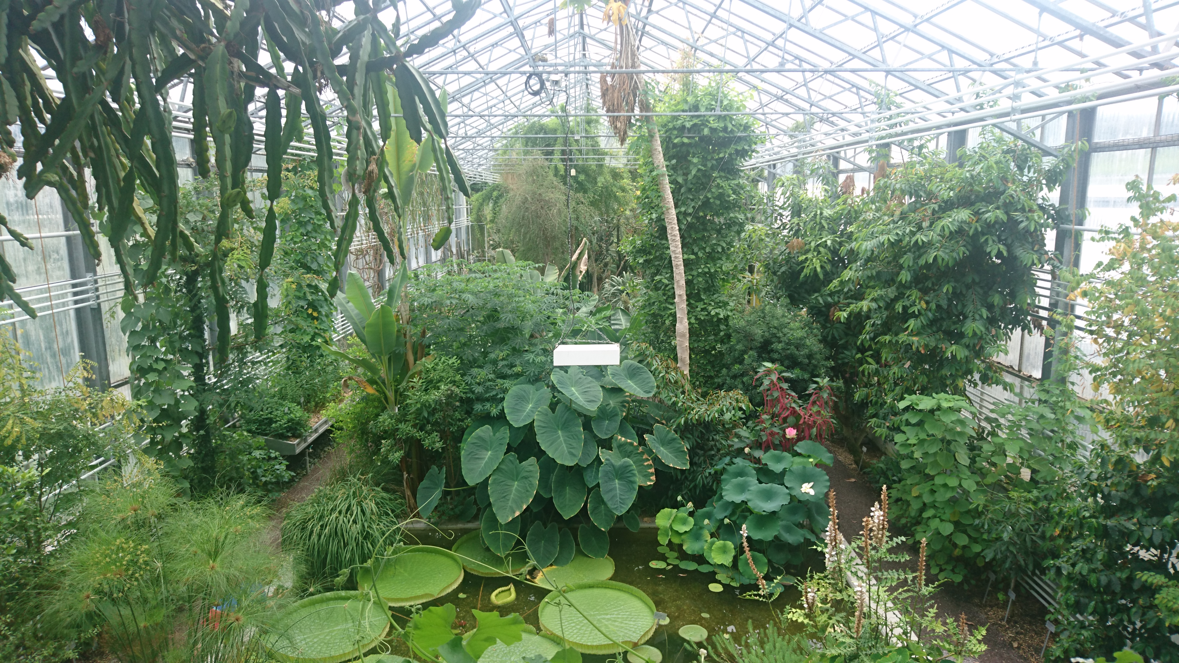 Botanical Garden St. Gallen
