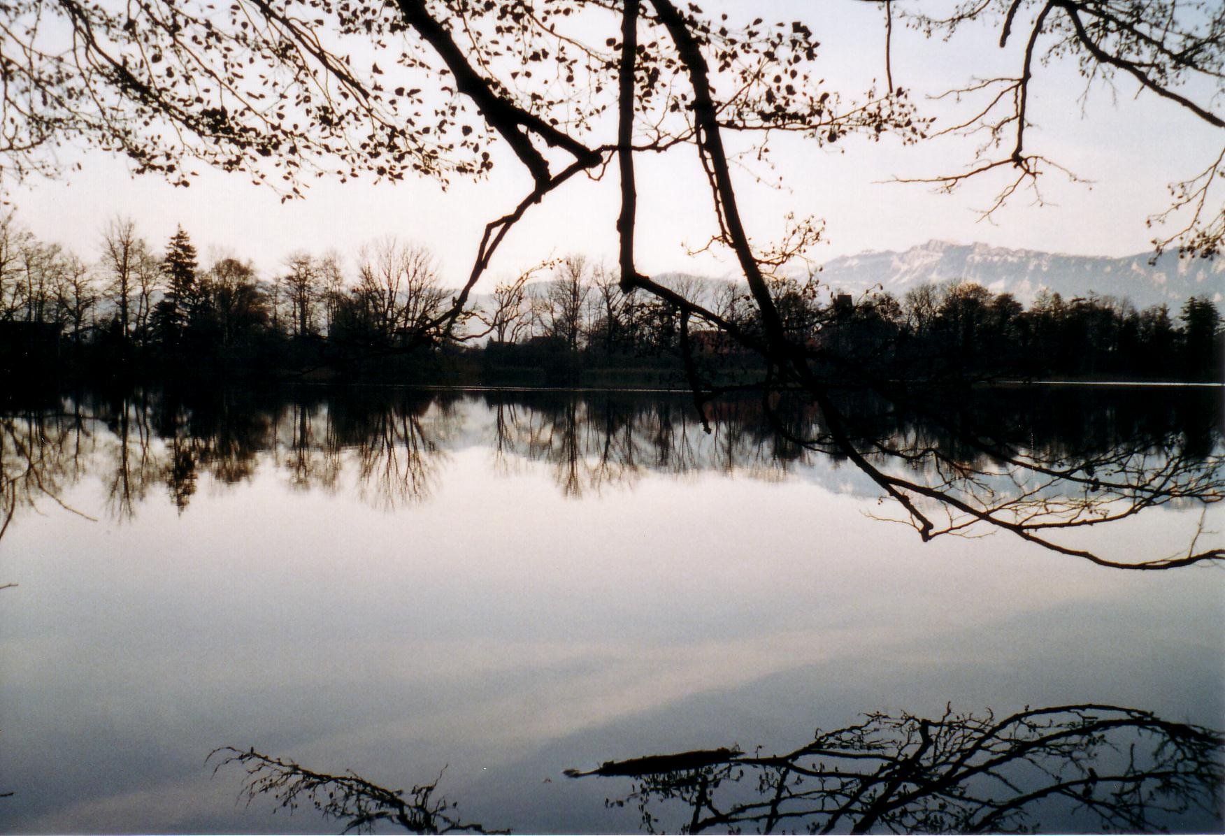 Amsoldingersee