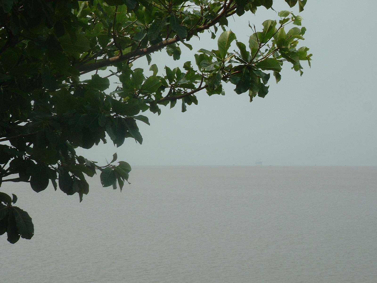 Wouri River