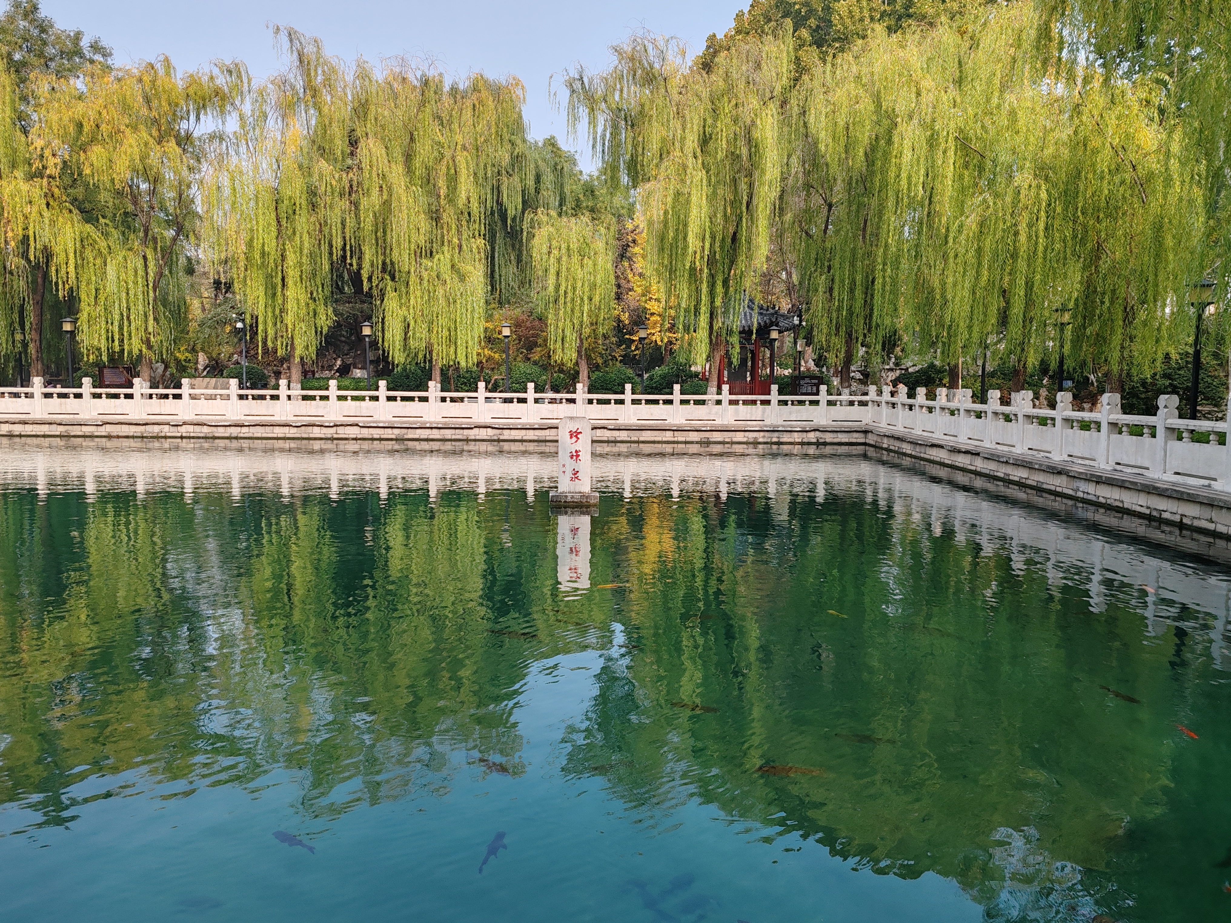 Pearl Spring