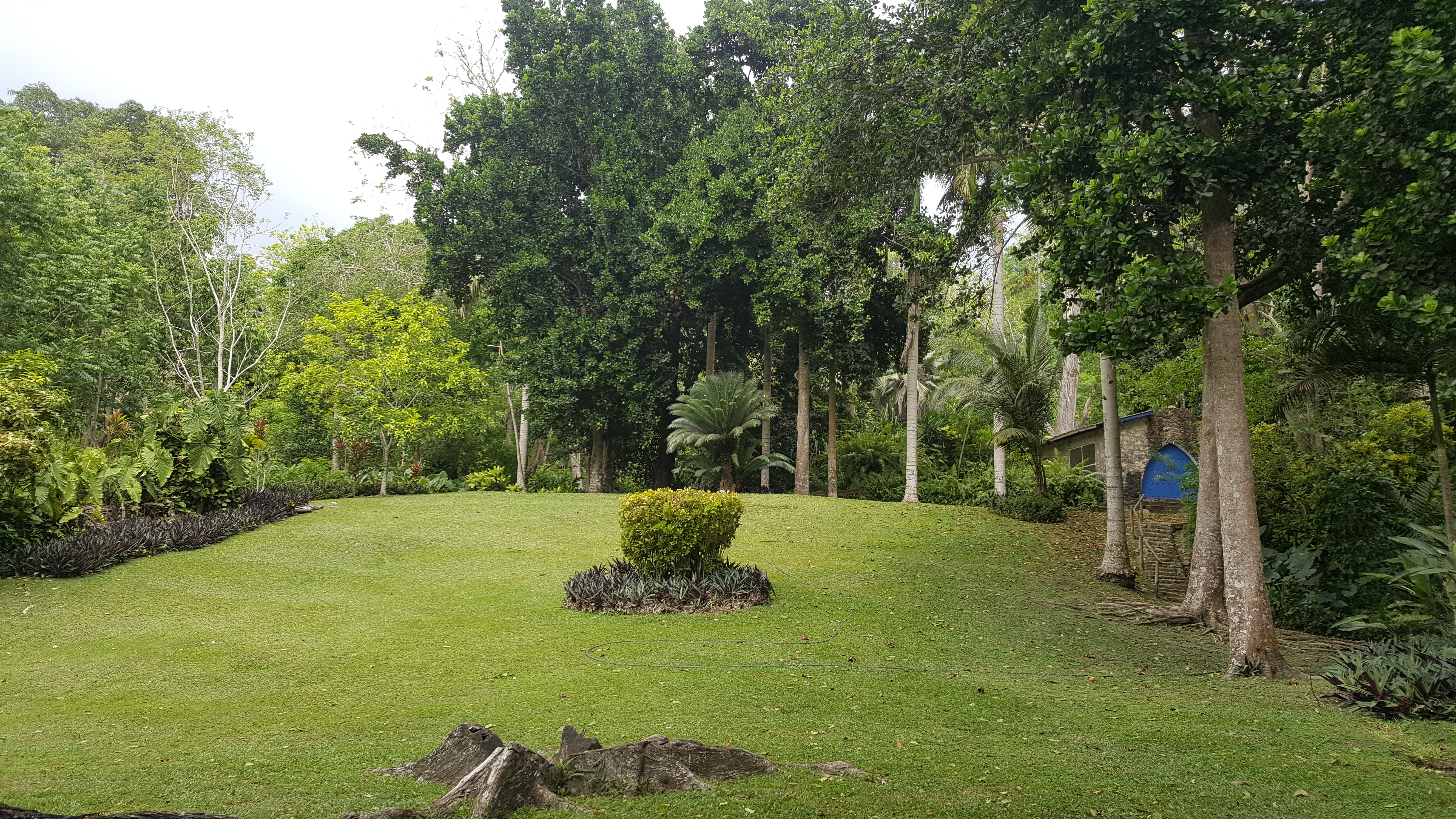 Cartagena Botanical Garden
