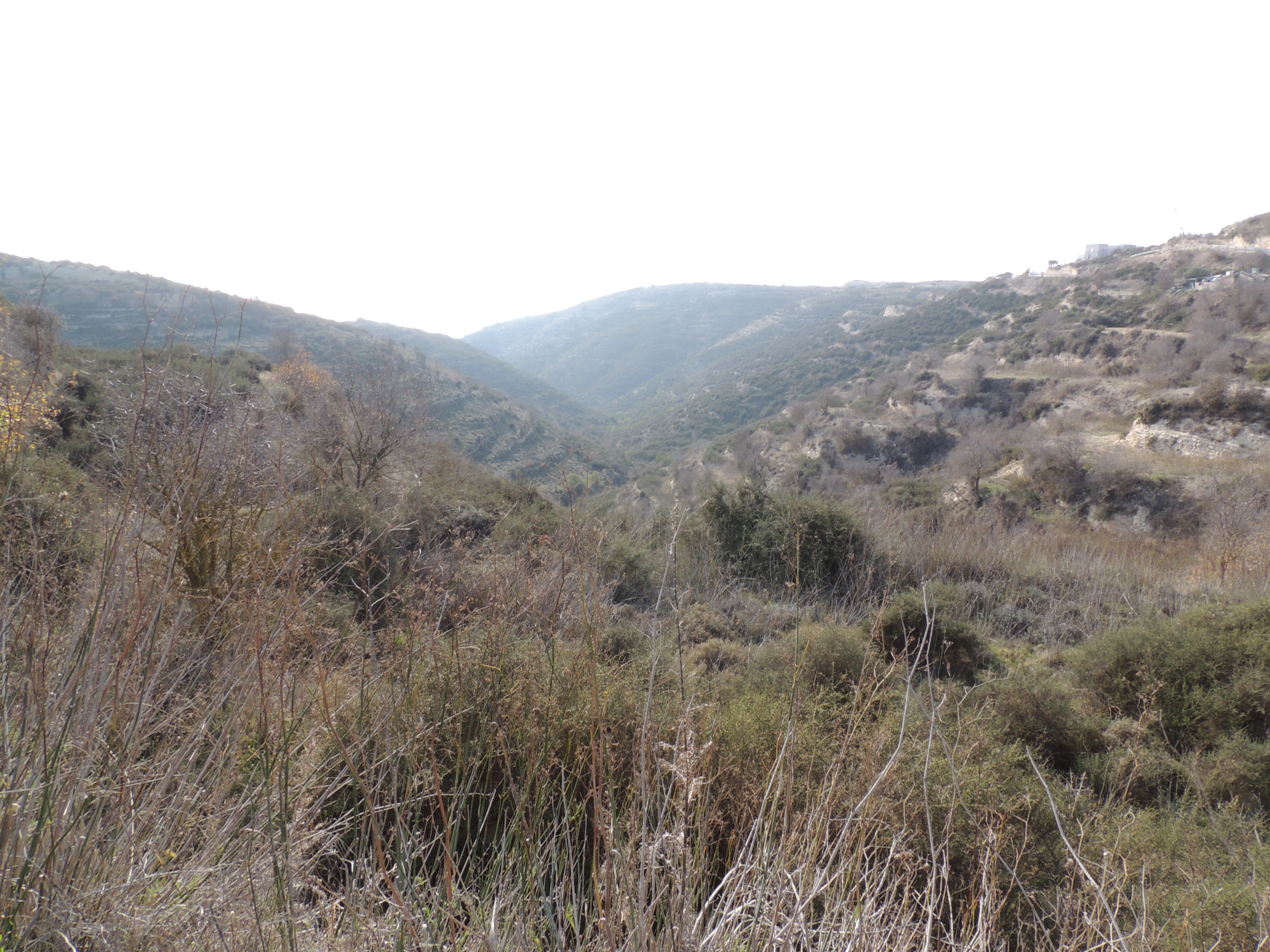 Tsada
