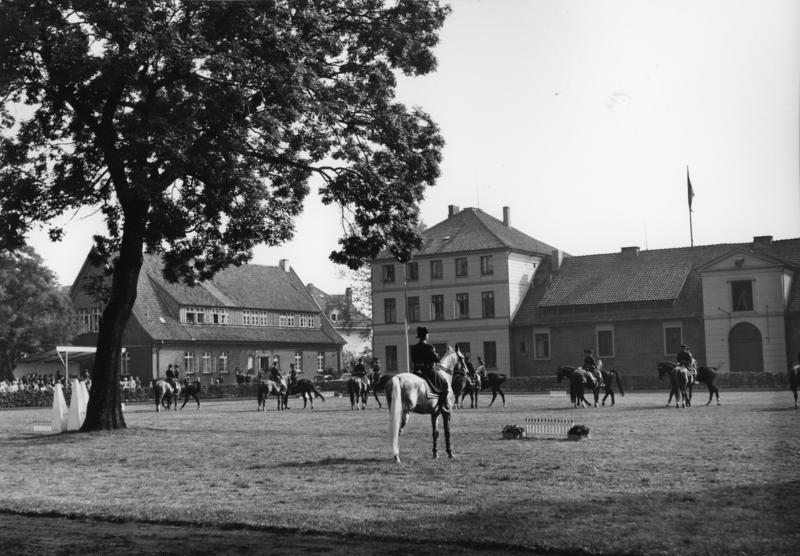 Celle State Stud