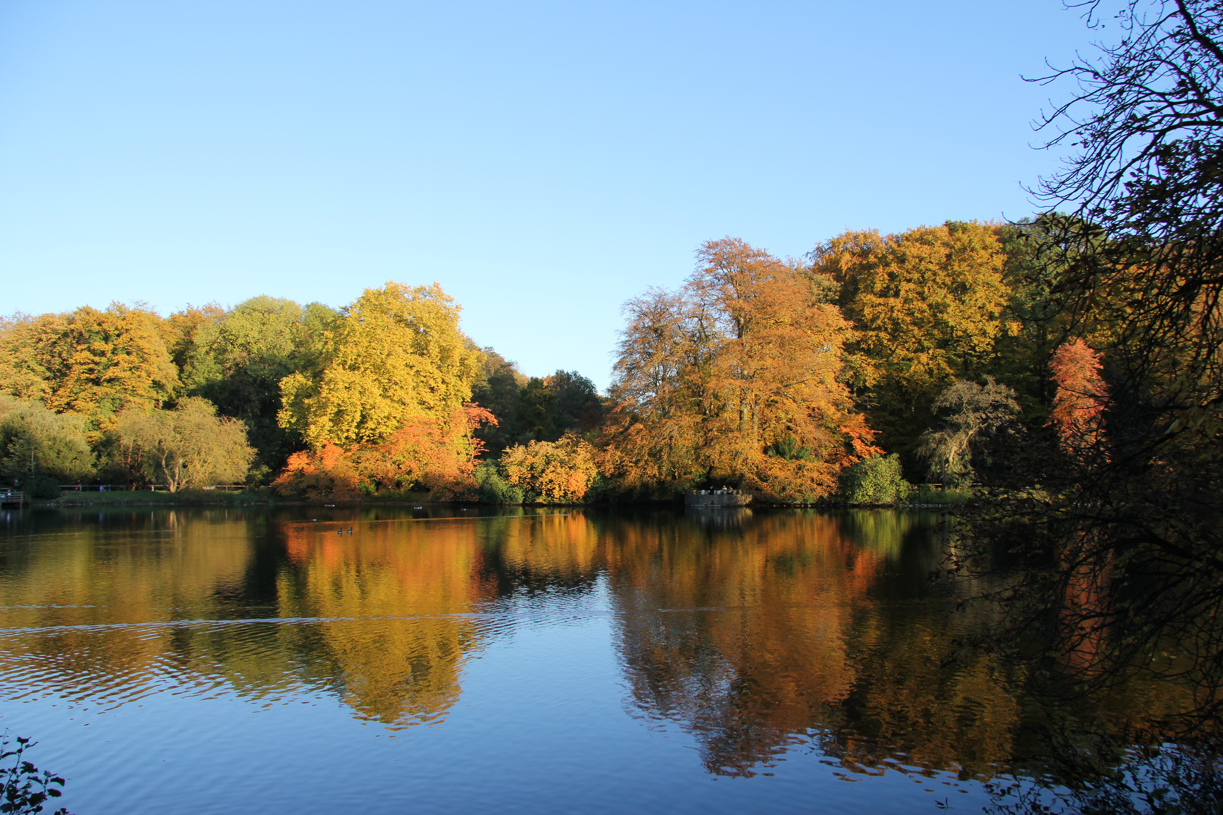 Botanischer Garten Rombergpark