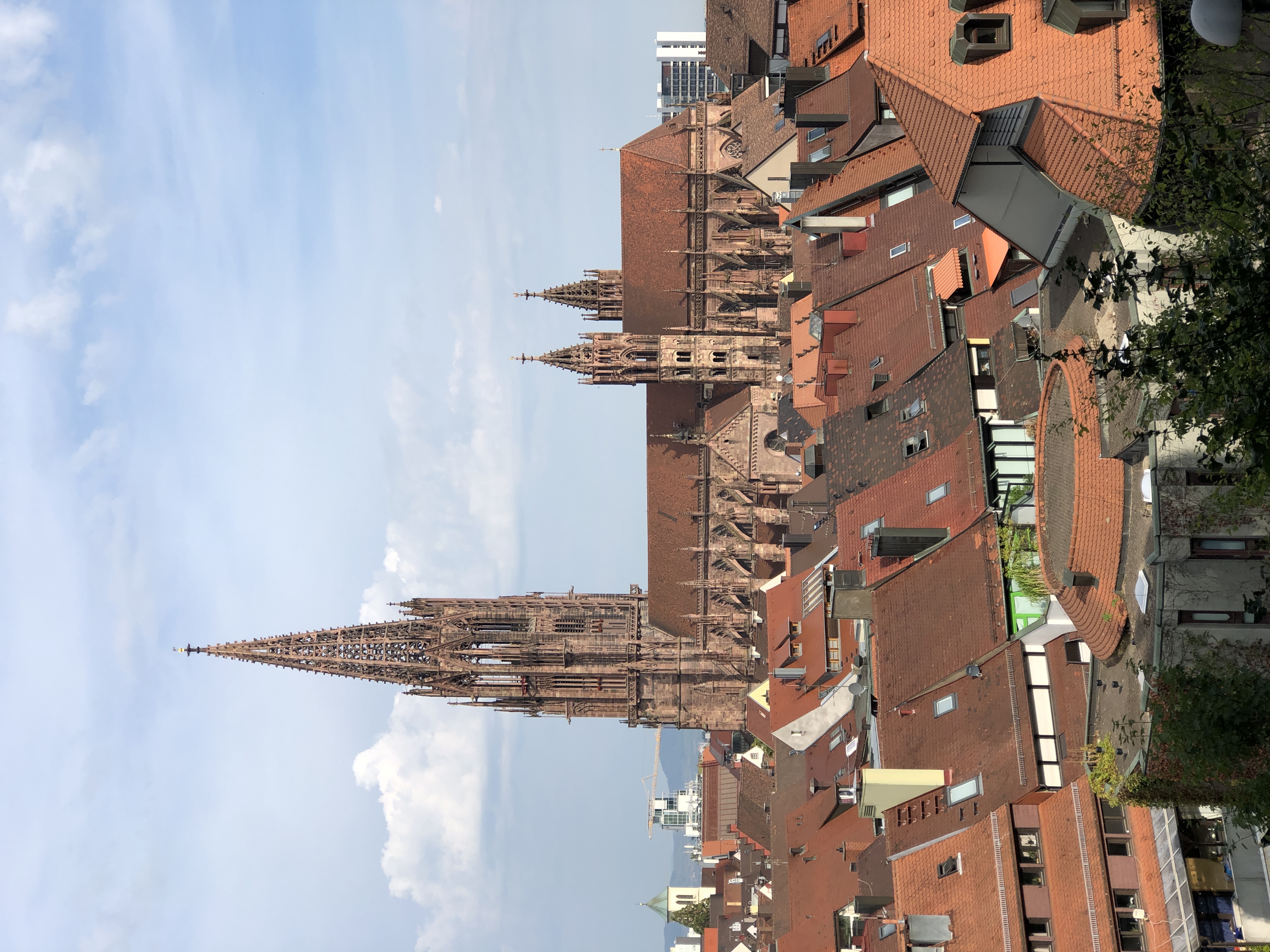 Freiburg Minster