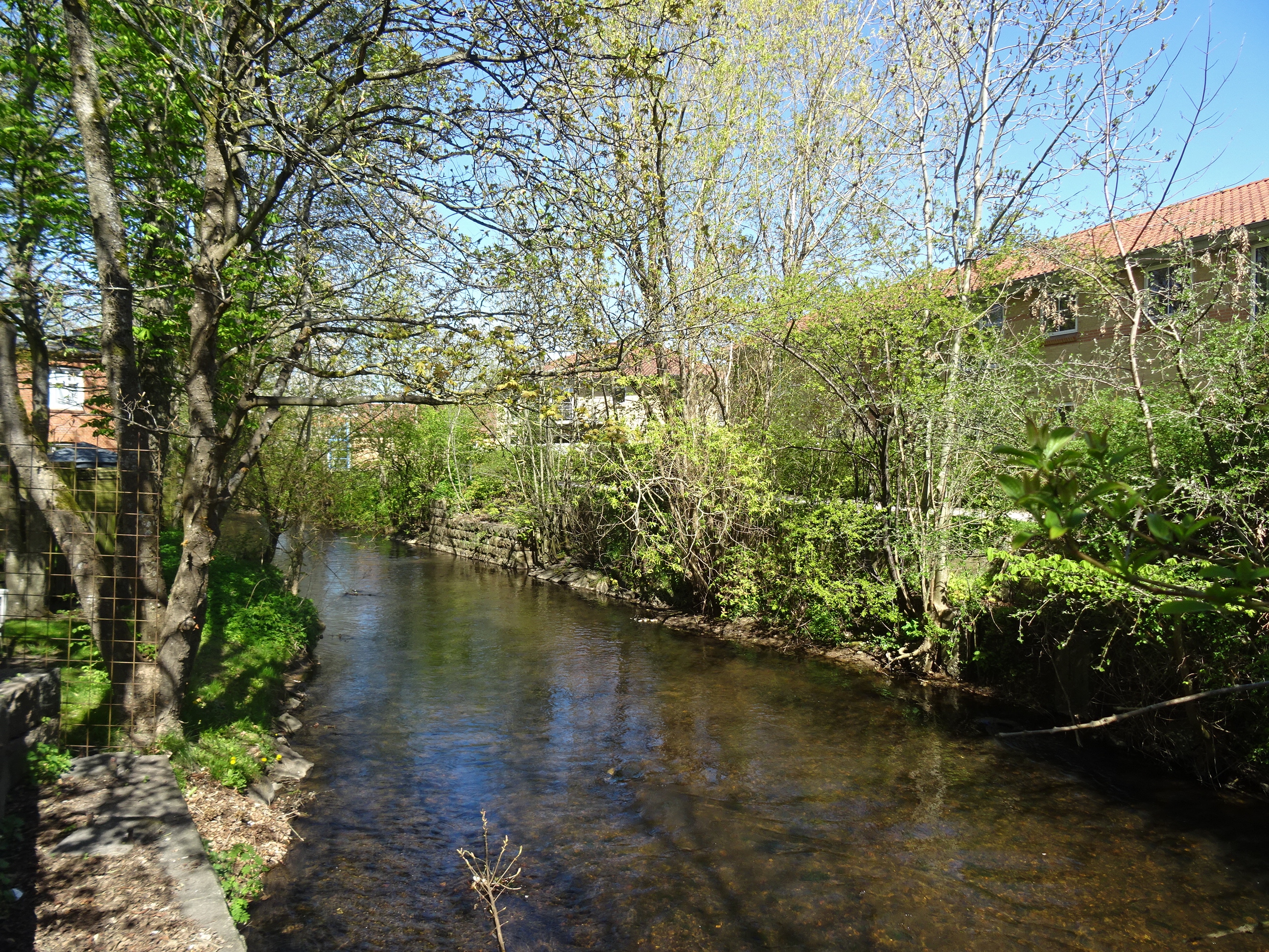 Grejs River