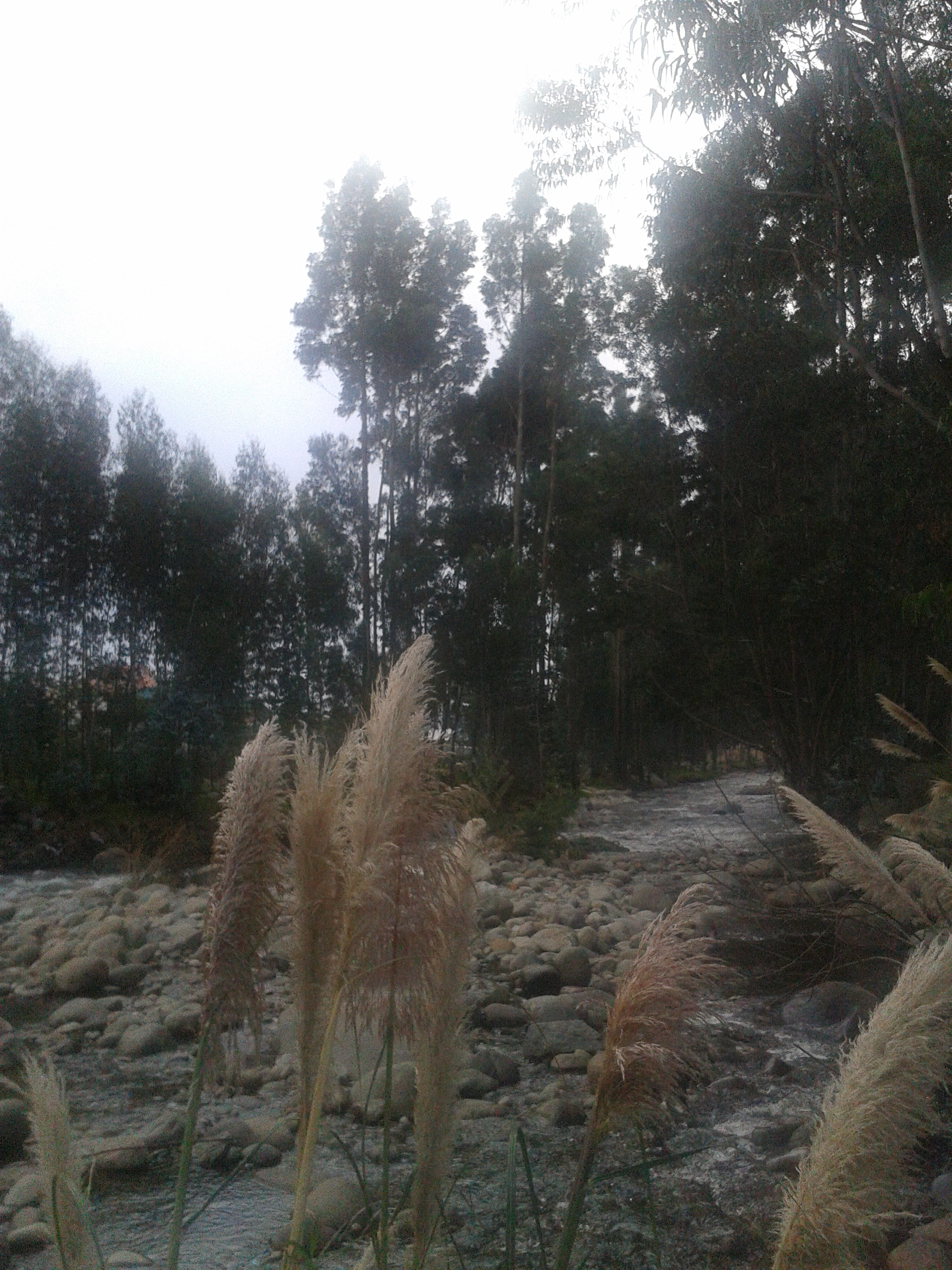 Yanuncay River