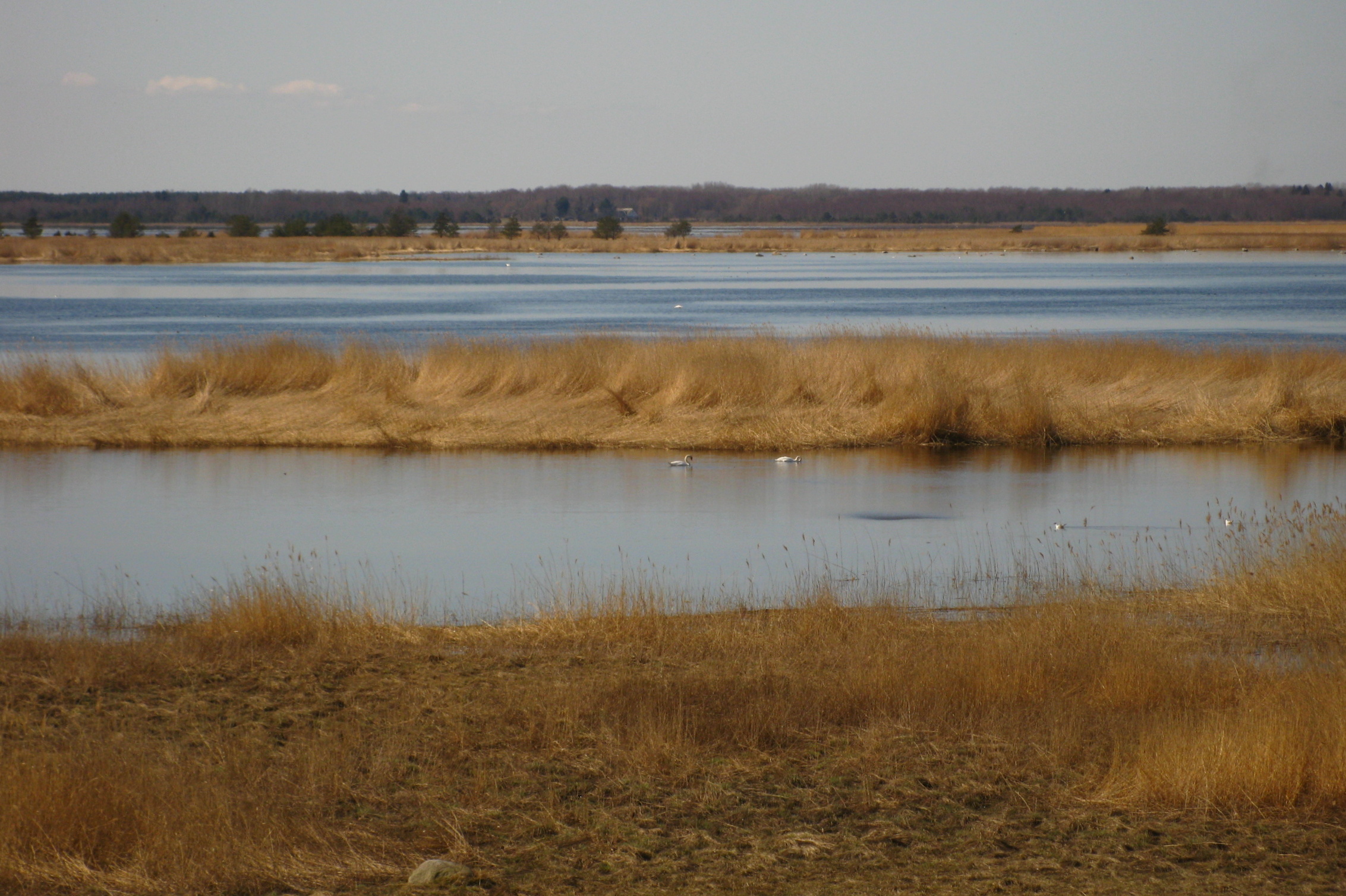 Silma Nature Reserve