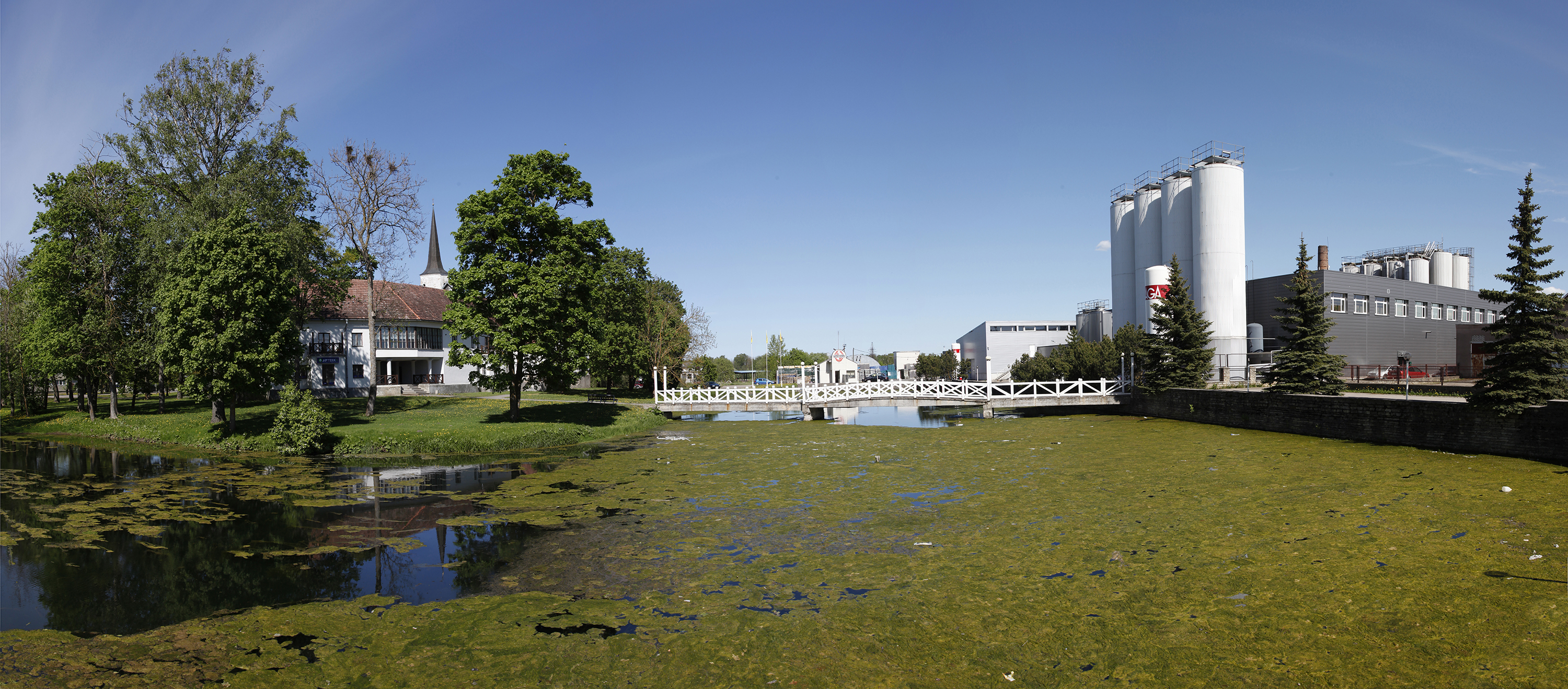 Haljala