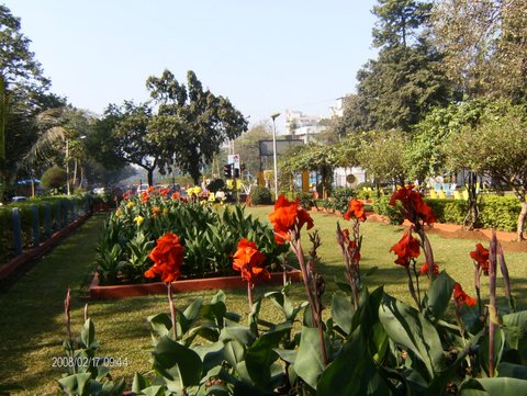 Maheshwari Udyan, Mumbai