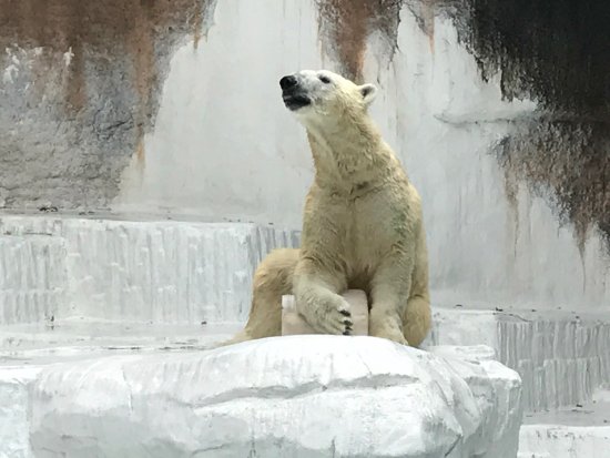 Tennōji Zoo