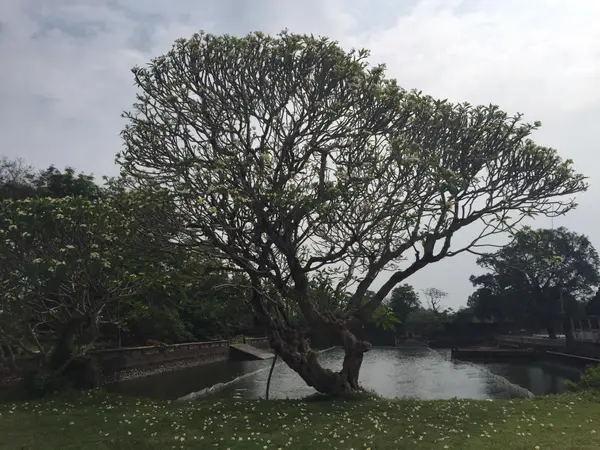 Hue Imperial City (The Citadel)