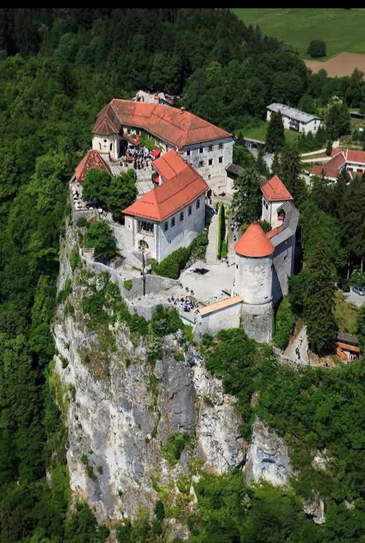 Bled Castle (Blejski Grad)