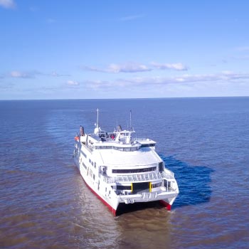 Colonia Express