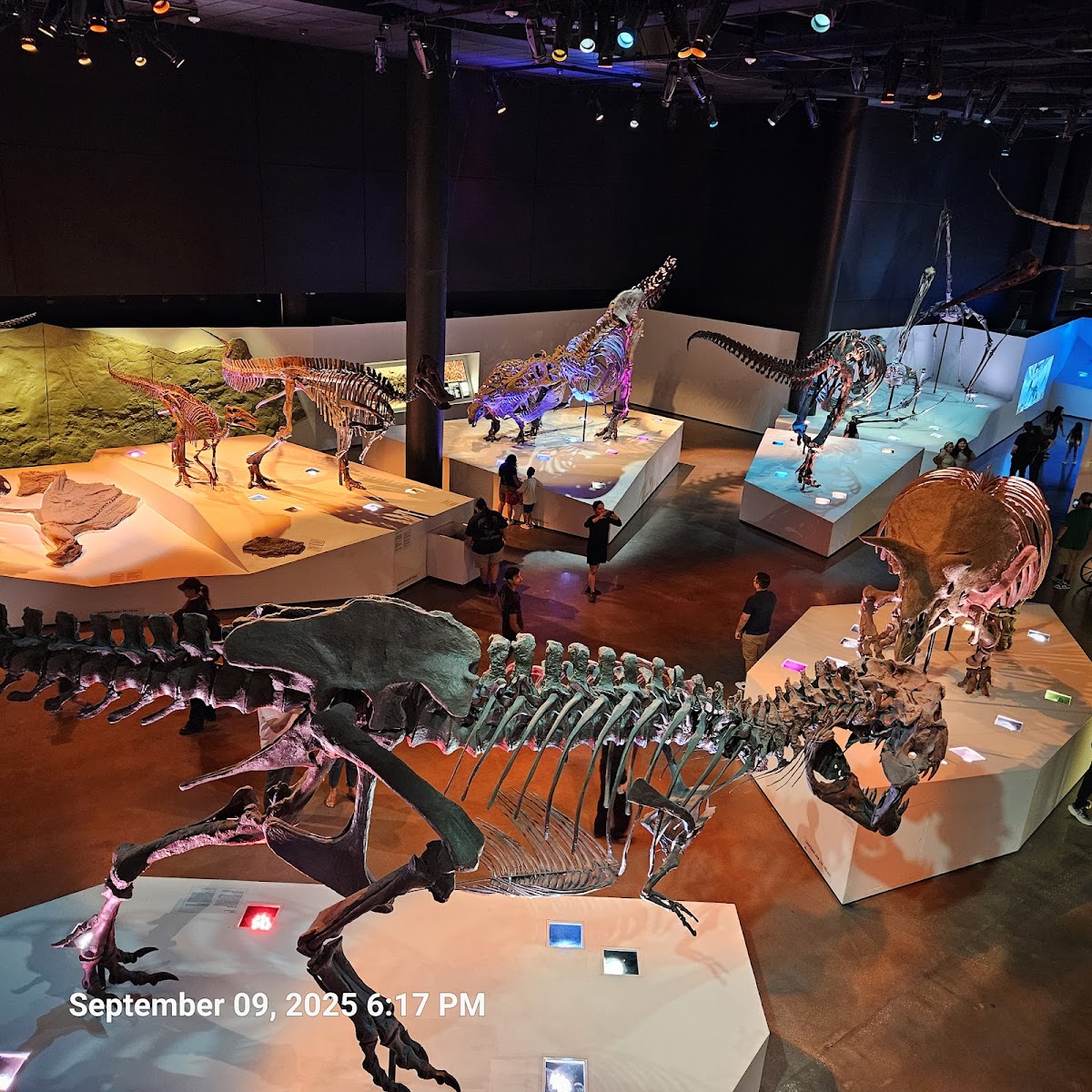 The Houston Museum of Natural Science