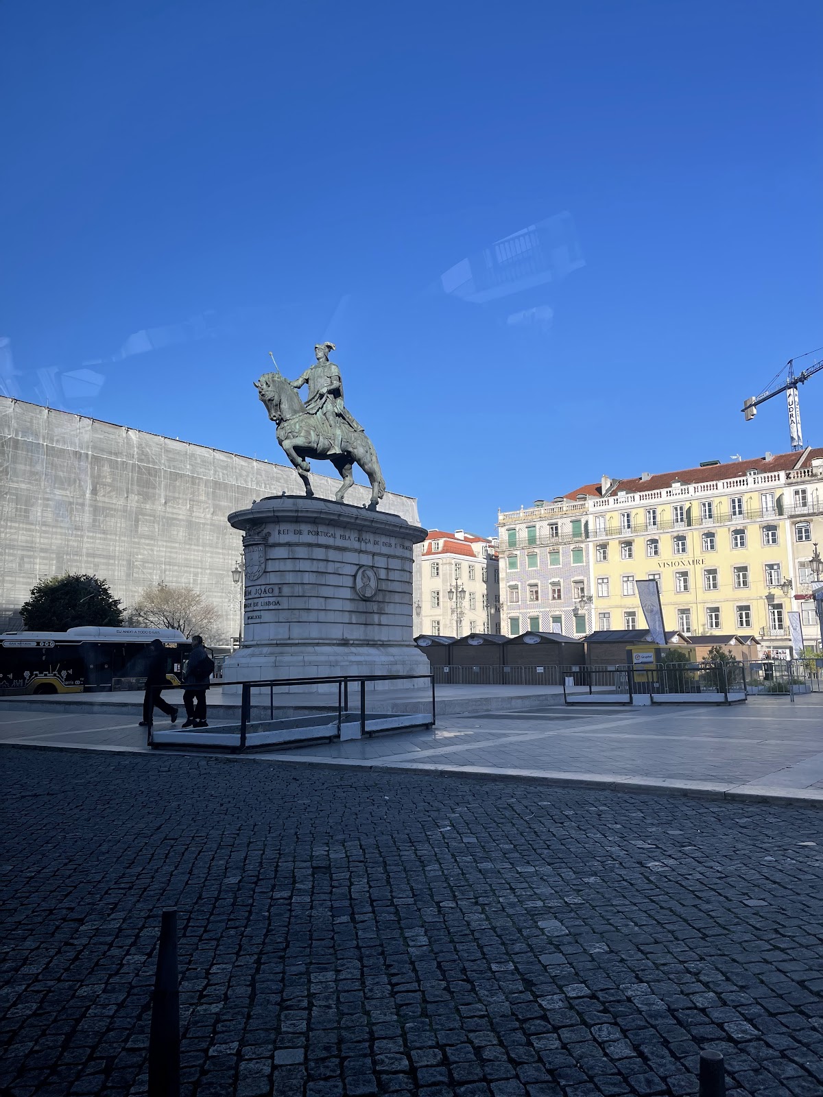 Historic Giant Plant of Lisbon