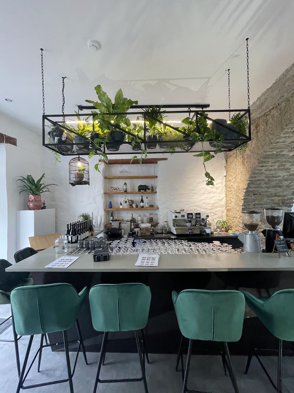 BWB Gastro Bar
