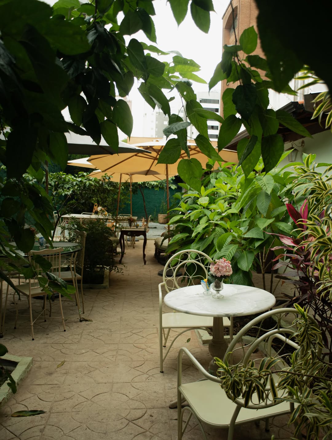 Copa Cozinha