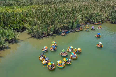 Looking straight down on a wide green channel through the coconut palms, a cluster of round basket boats gathered in a ring on the water