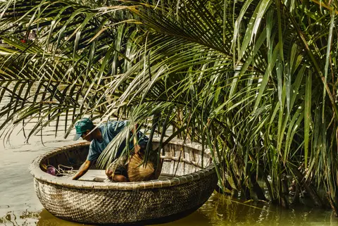 A rower sitting in a round bamboo basket boat on a narrow channel between tall water-palm fronds