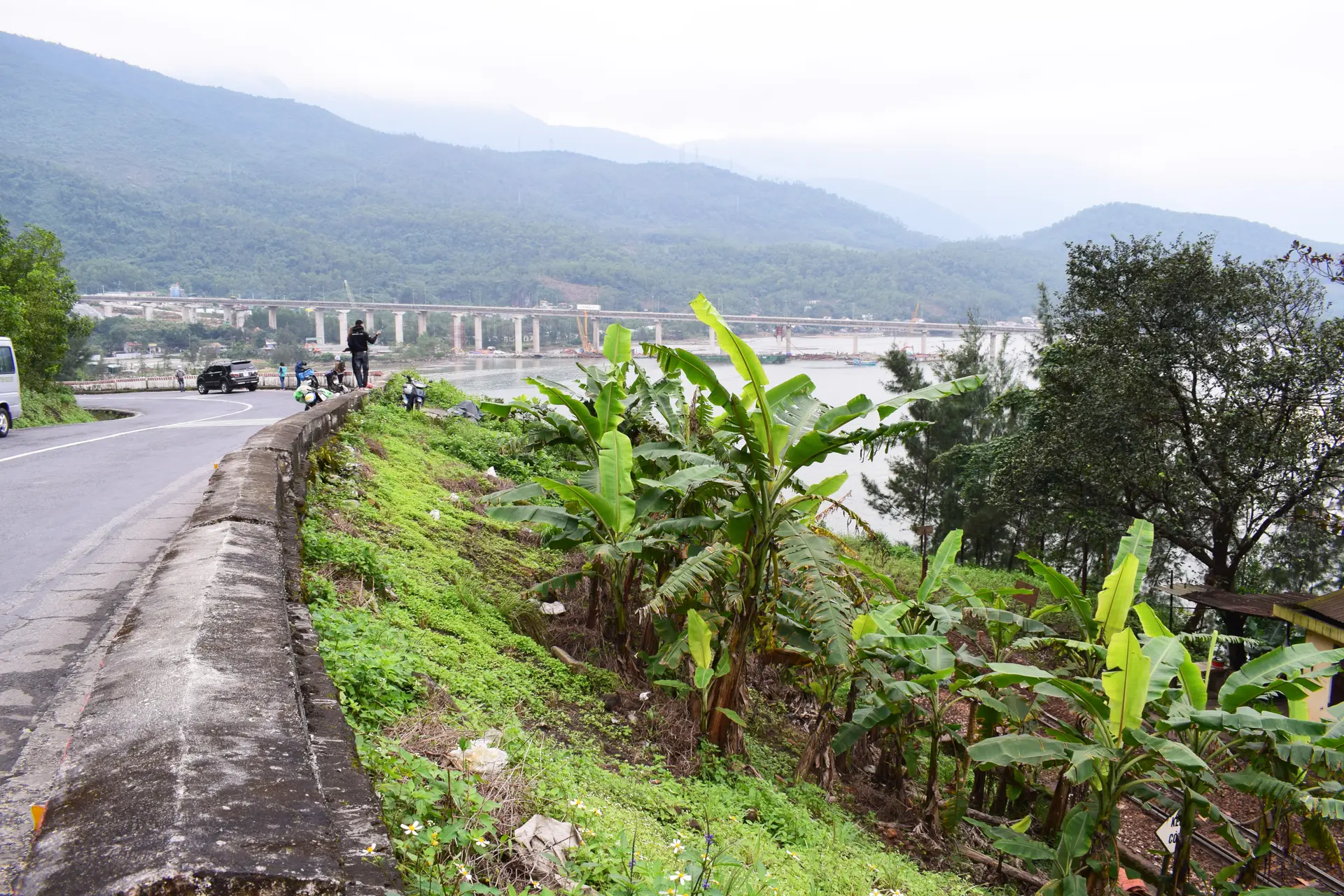 道路沿绿色山坡蜿蜒,高悬海湾之上,山脊渐隐于薄雾