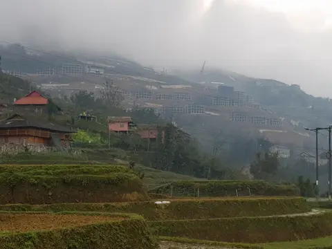 梯田山坡上散布着木屋,薄雾飘过远处的山坡