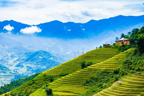 萨帕陡峭山坡上的梯田,层层叠叠的田埂在光线下闪烁
