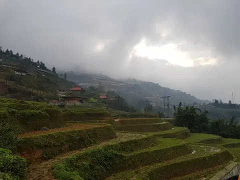 Stepped rice terraces cut into a steep valley side, cloud hanging low over the ridge above